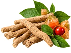 Sedamin — Ashwagandha (Withania somnifera) in der Zusammensetzung