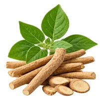 Sedamin — Ashwagandha (Withania somnifera) in der Zusammensetzung