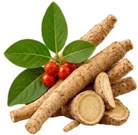 Sedamin — Ashwagandha (Withania somnifera) in der Zusammensetzung