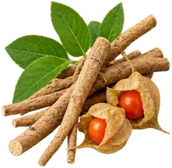Sedamin — Ashwagandha (Withania somnifera) in der Zusammensetzung