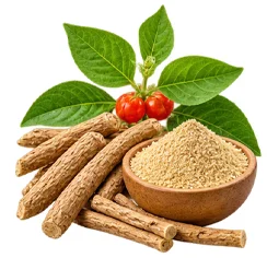 Sedamin — Ashwagandha (Withania somnifera) in der Zusammensetzung