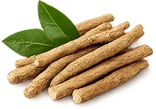Sedamin — ashwagandha (Withania somnifera)