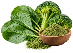 Sedamin — Vitamin B9 (Folat) in der Zusammensetzung
