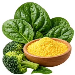 Sedamin — Vitamin B9 (Folat) in der Zusammensetzung