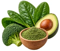 Sedamin — Vitamin B9 (Folat) in der Zusammensetzung