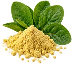 Sedamin — Vitamin B9 (Folat) in der Zusammensetzung