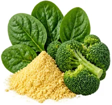 Sedamin — Vitamin B9 (Folat) in der Zusammensetzung
